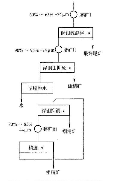 斑巖銅礦浮選工藝的特點